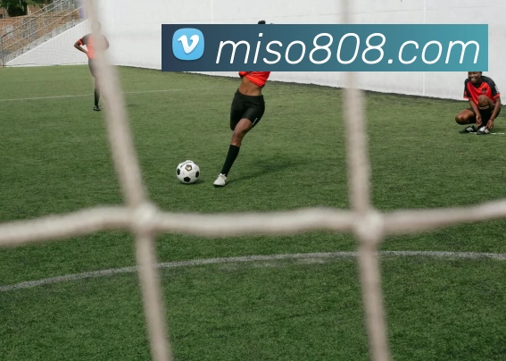 APP界面展示